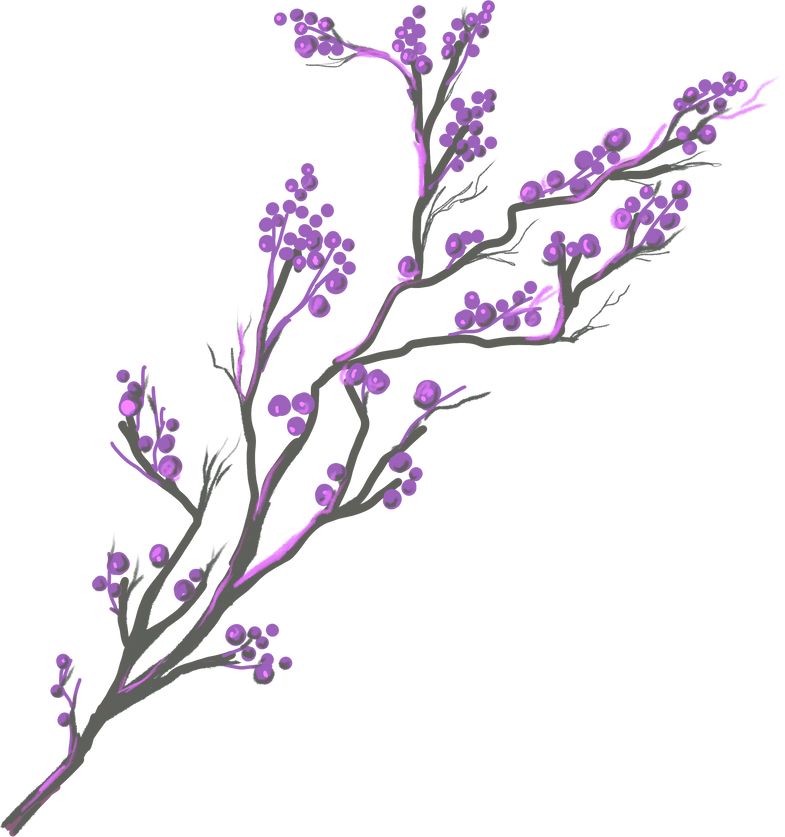 Wild Dried Flowers