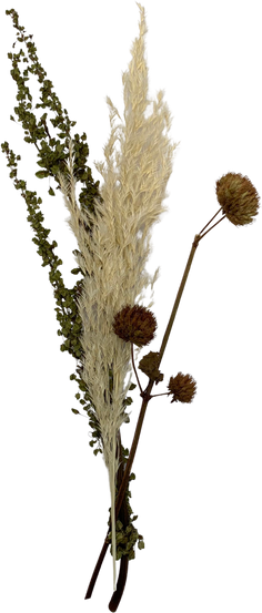 Dried Flowers
